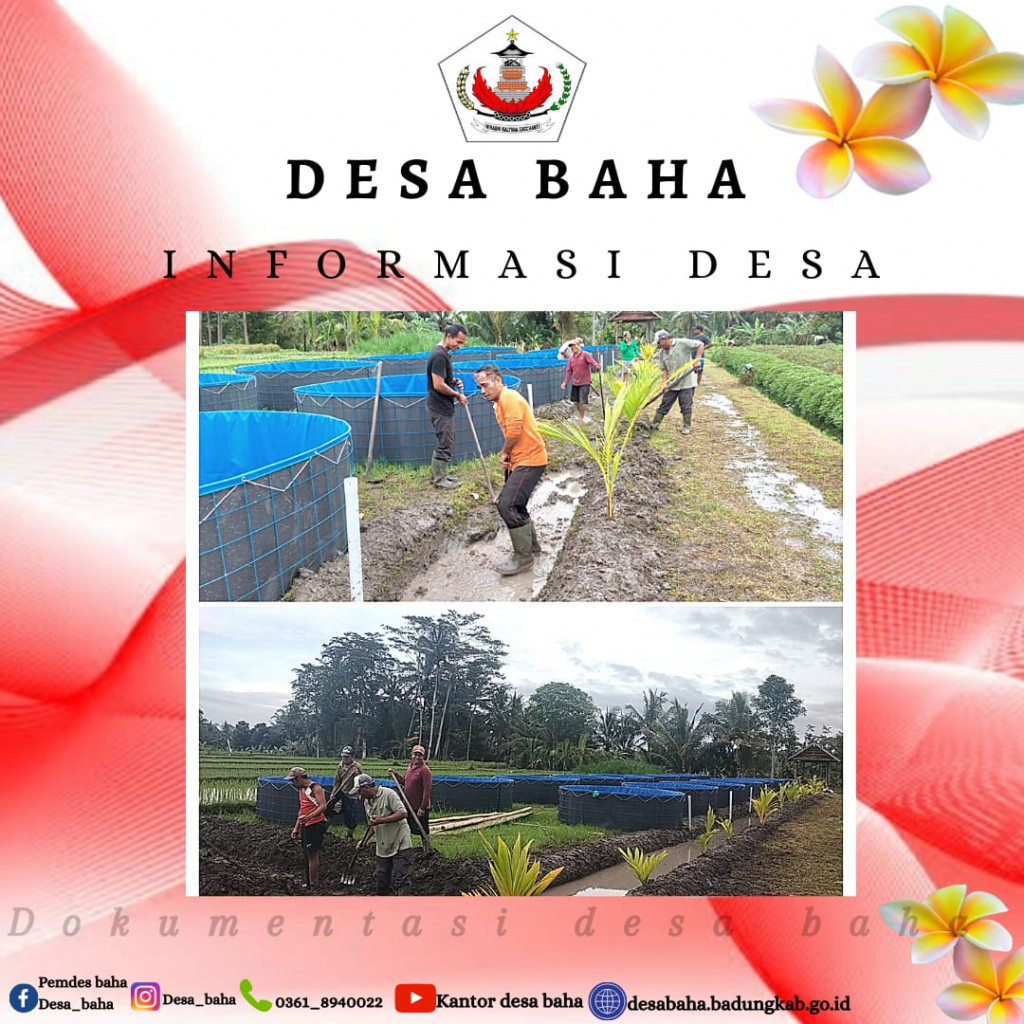 Penggunaan Dana Desa pada Ketahanan Pangan tahun 2022 di Desa Baha